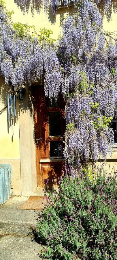 Montségur La Maison Des Tisserandes מראה חיצוני תמונה